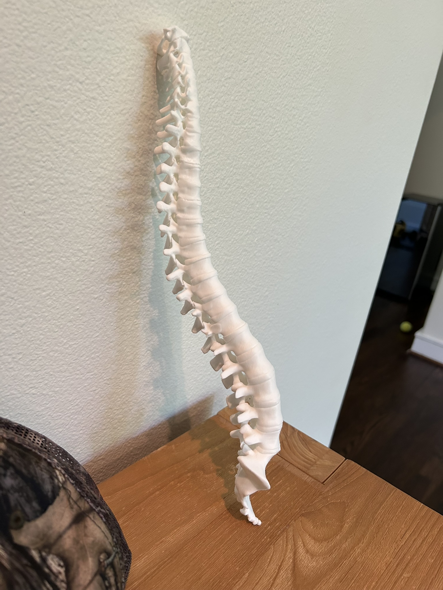 Will Gross' fab gallery image 4