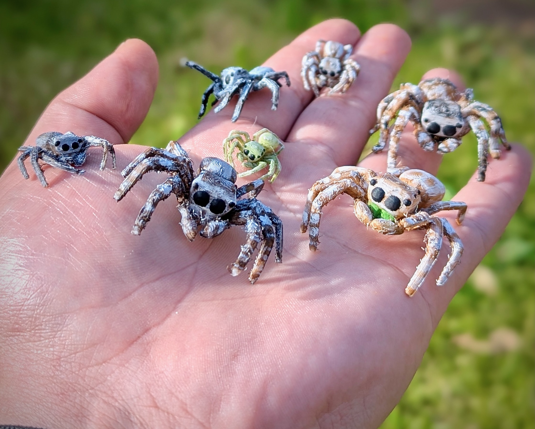 Jumping Spider preview