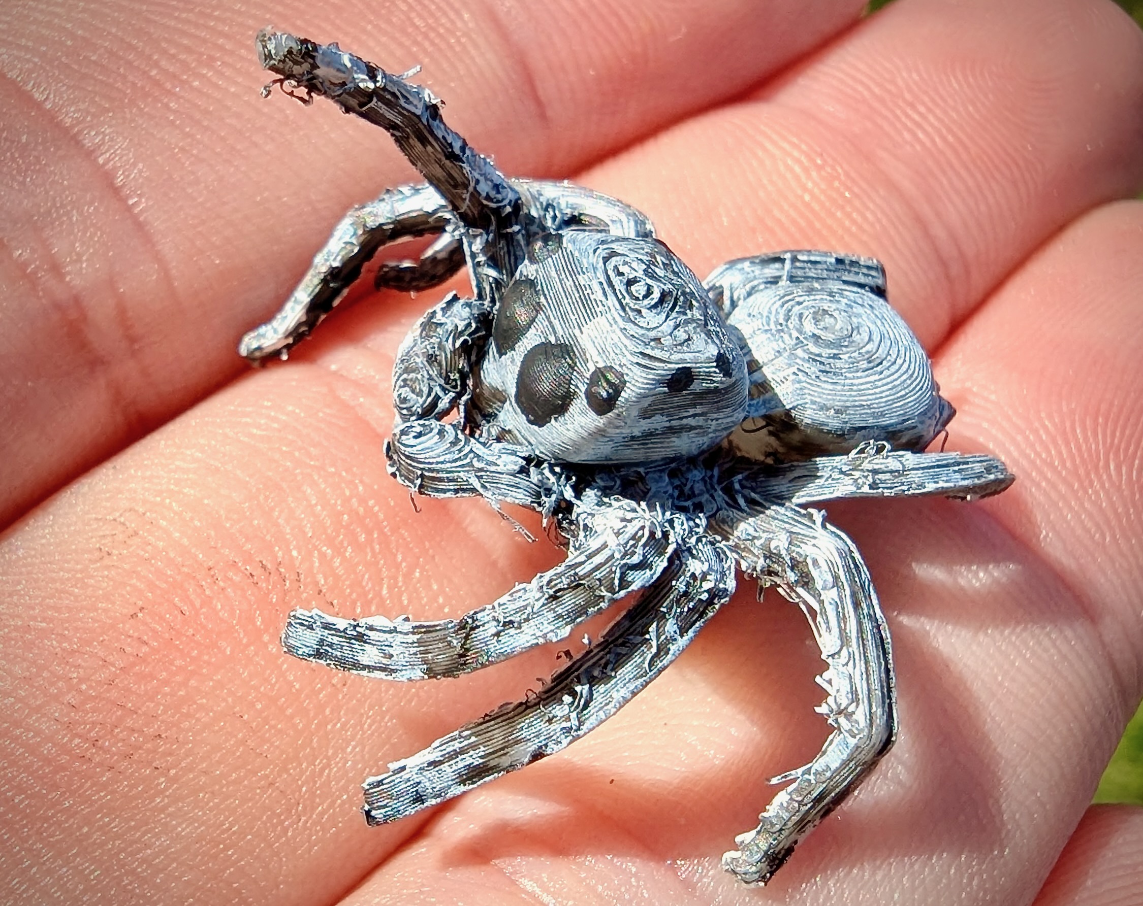 Jumping Spider preview 4