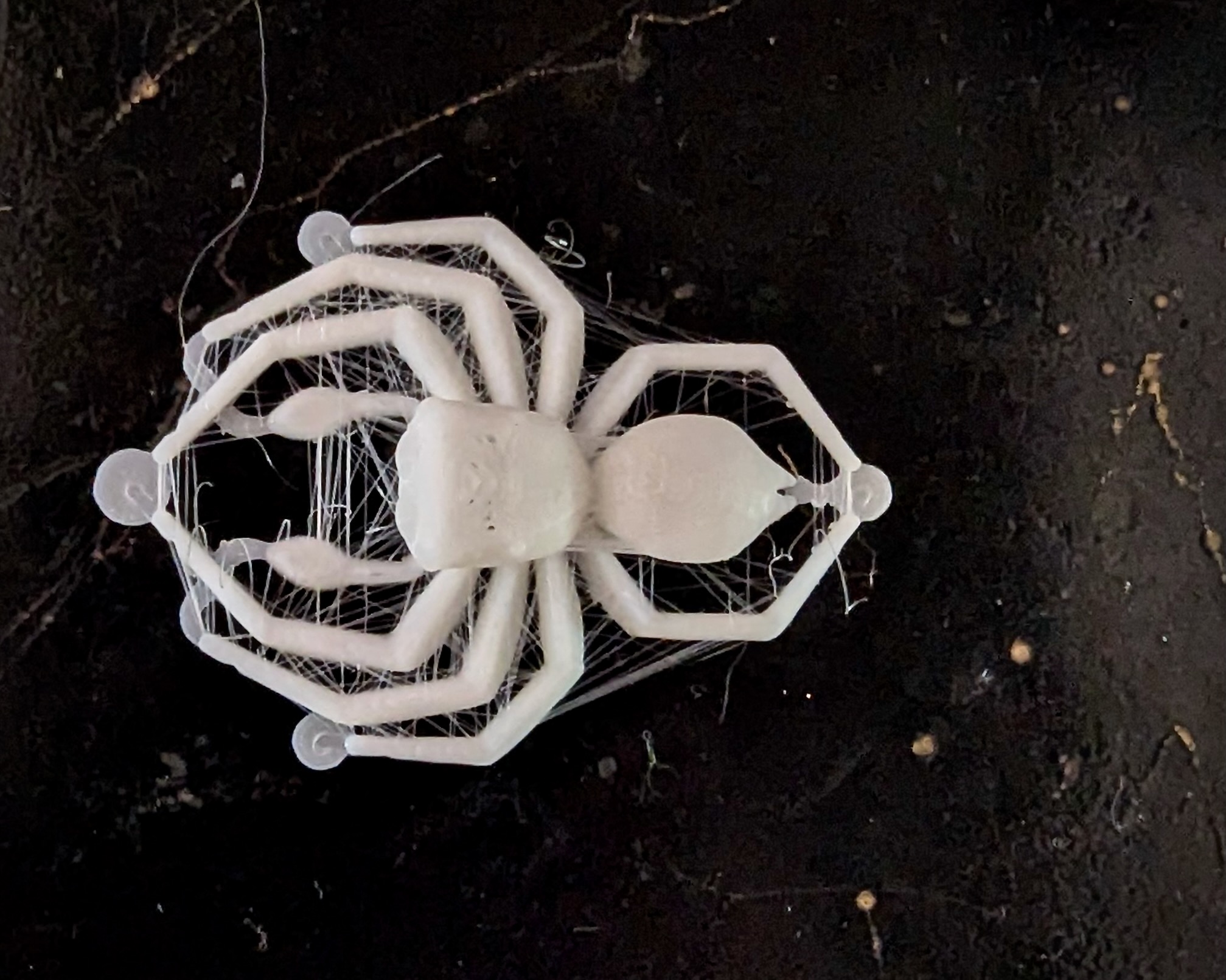 Jumping Spider preview 5