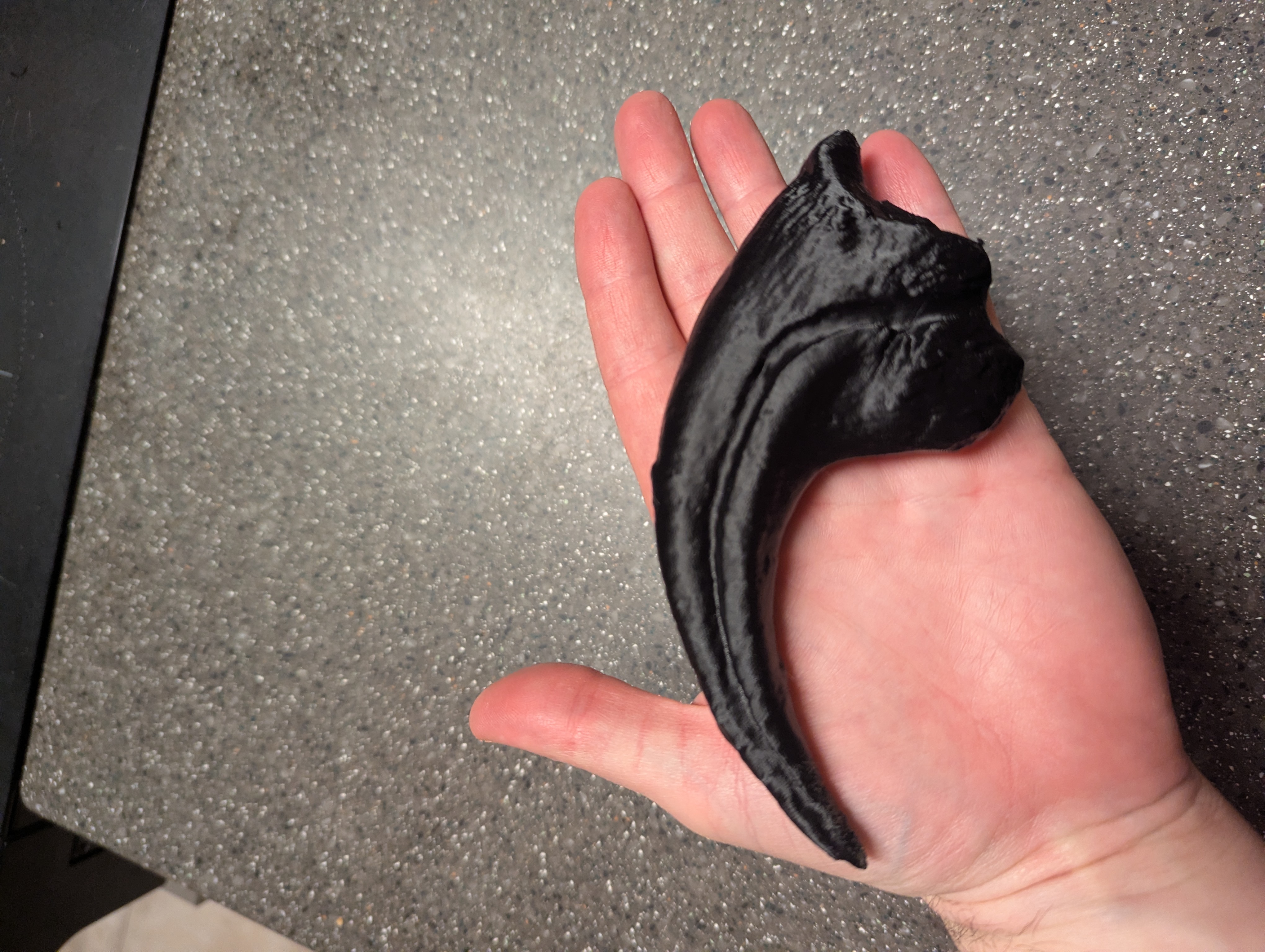 Allosaurus fragilis Claw preview