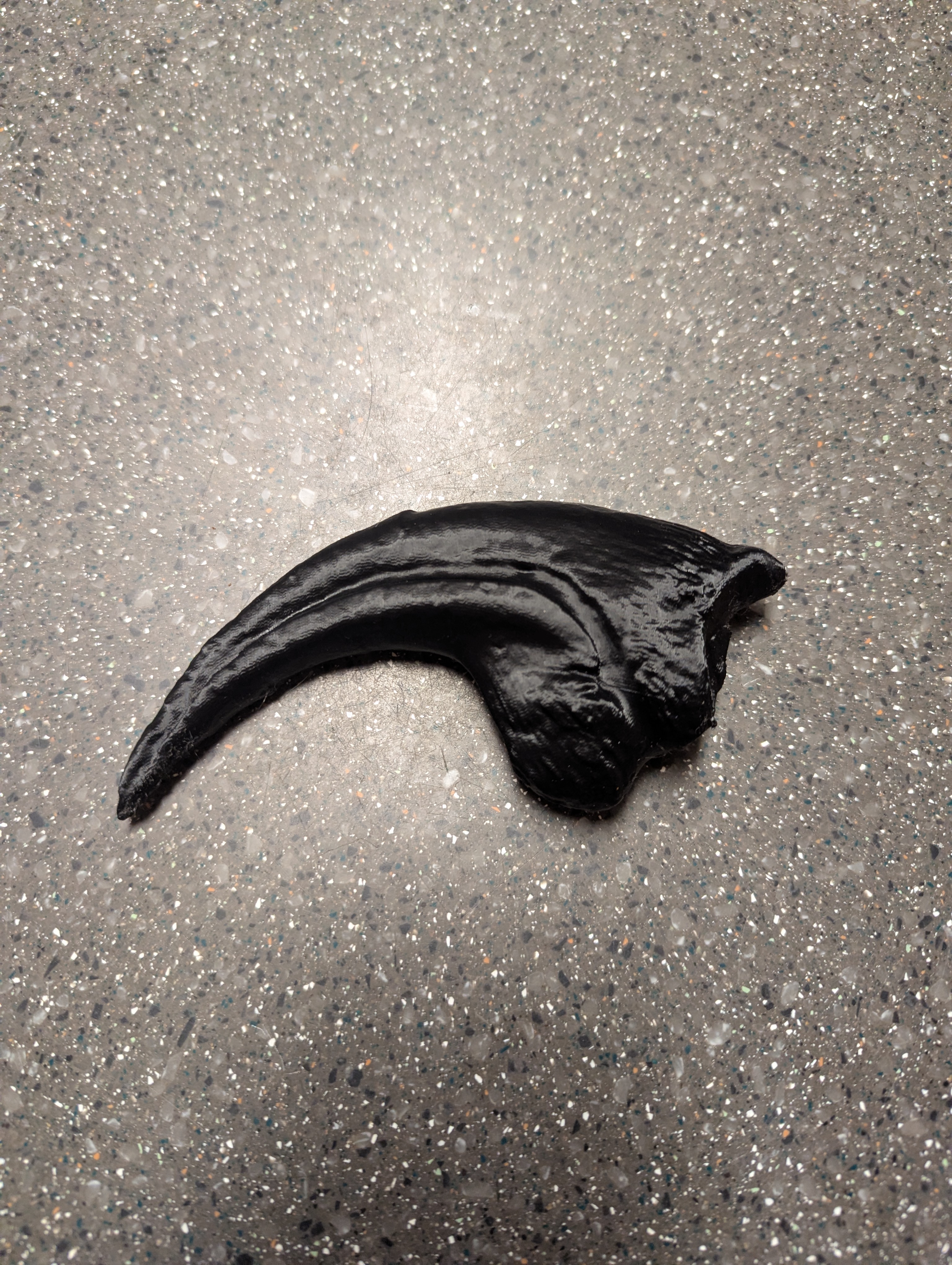 Allosaurus fragilis Claw preview 2