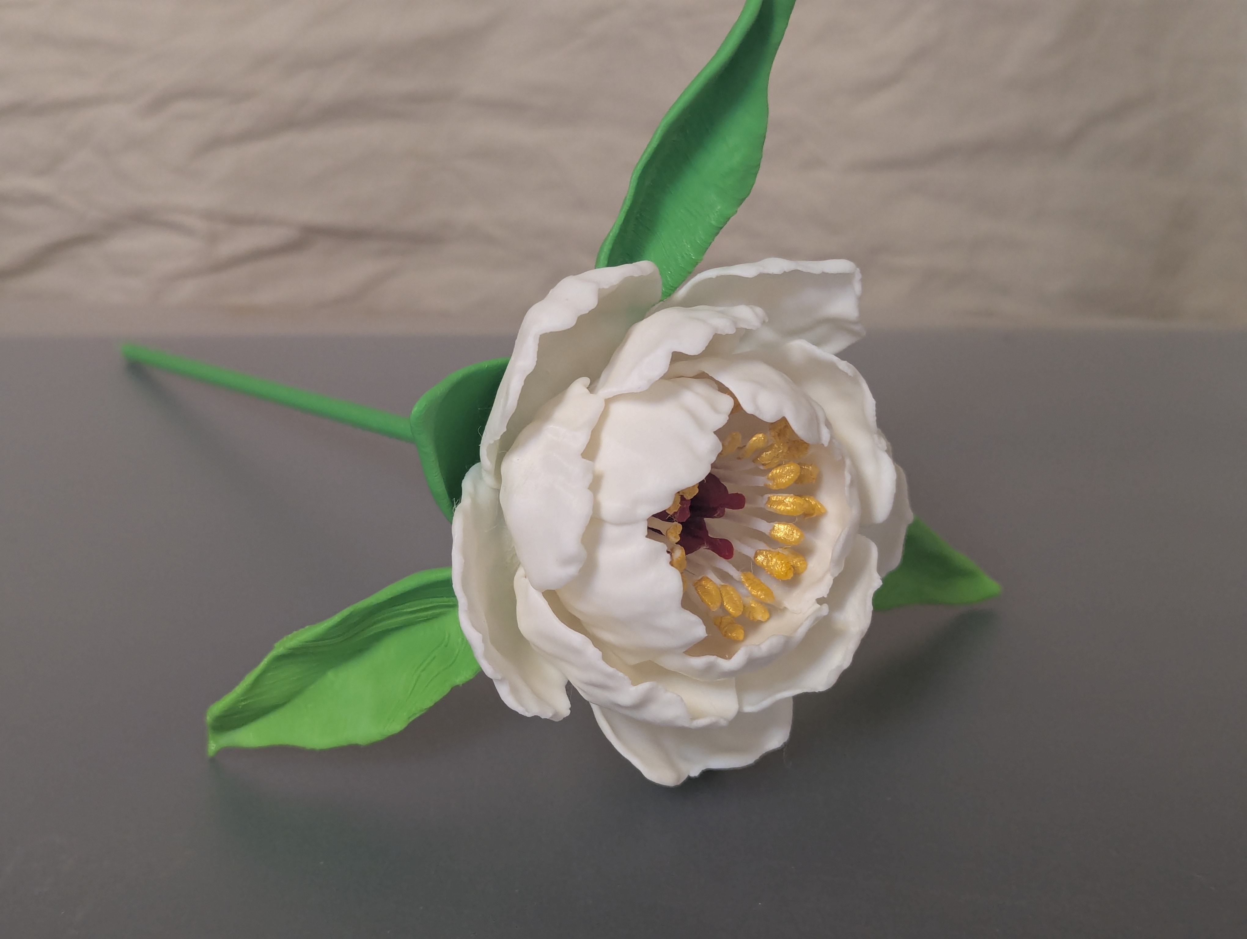 Paeonia, sp (Peony) preview