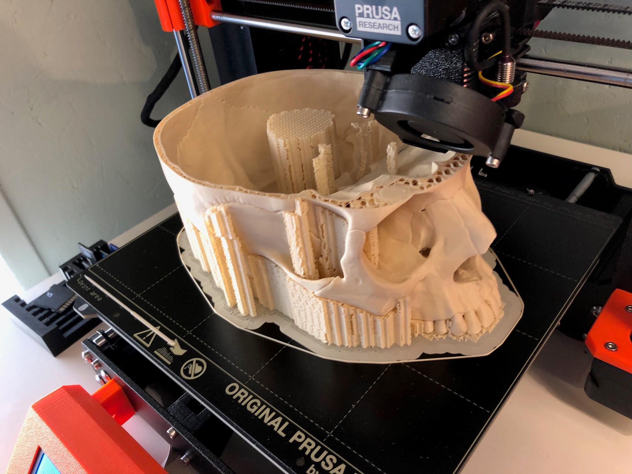 Human skull, anatomically correct preview 4