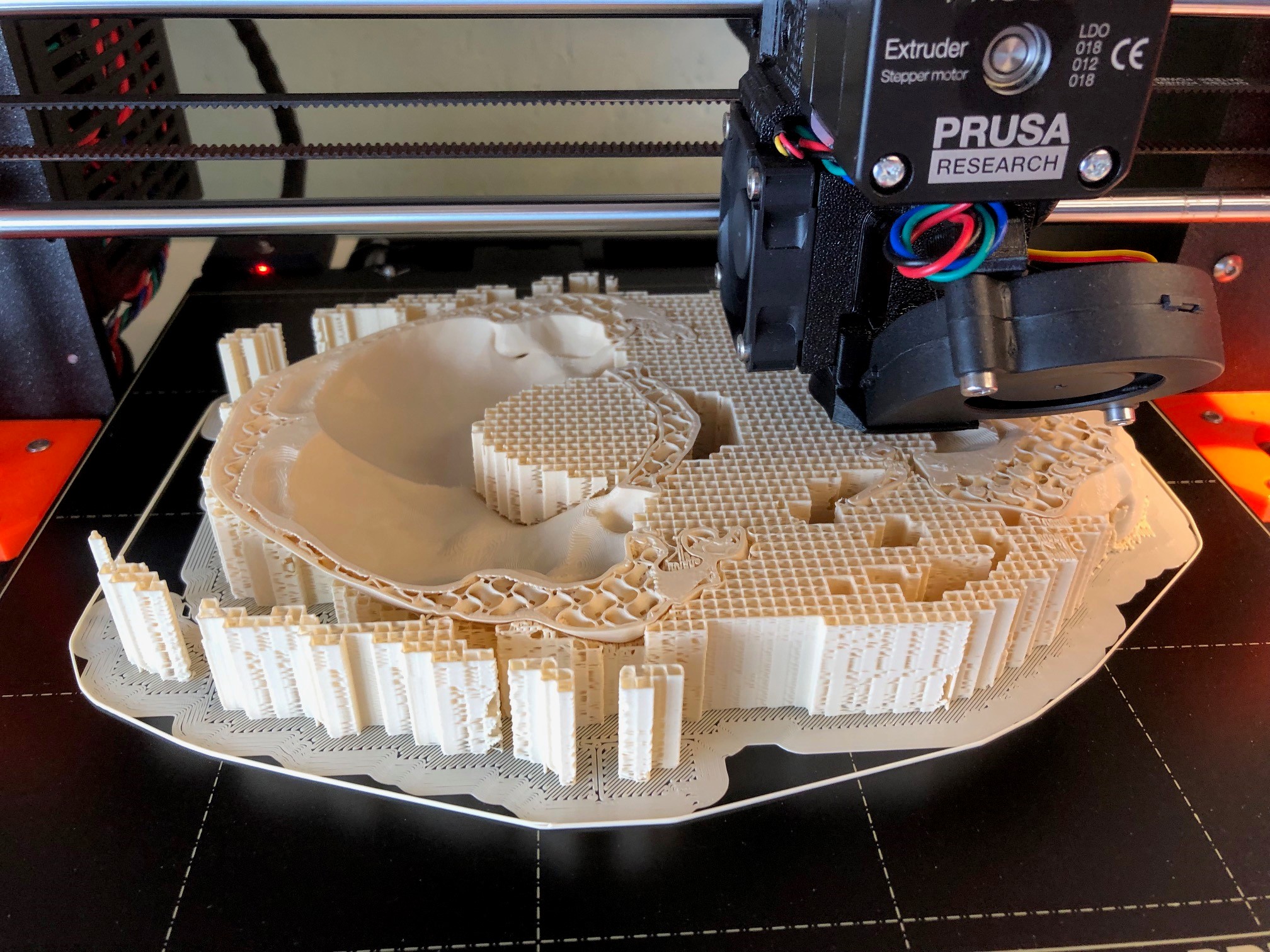 Human skull, anatomically correct preview 5