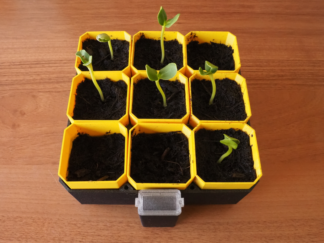 Small Self-Watering Seed Starter preview