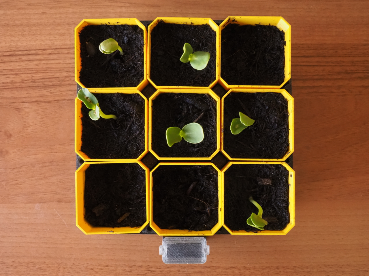 Small Self-Watering Seed Starter preview 3