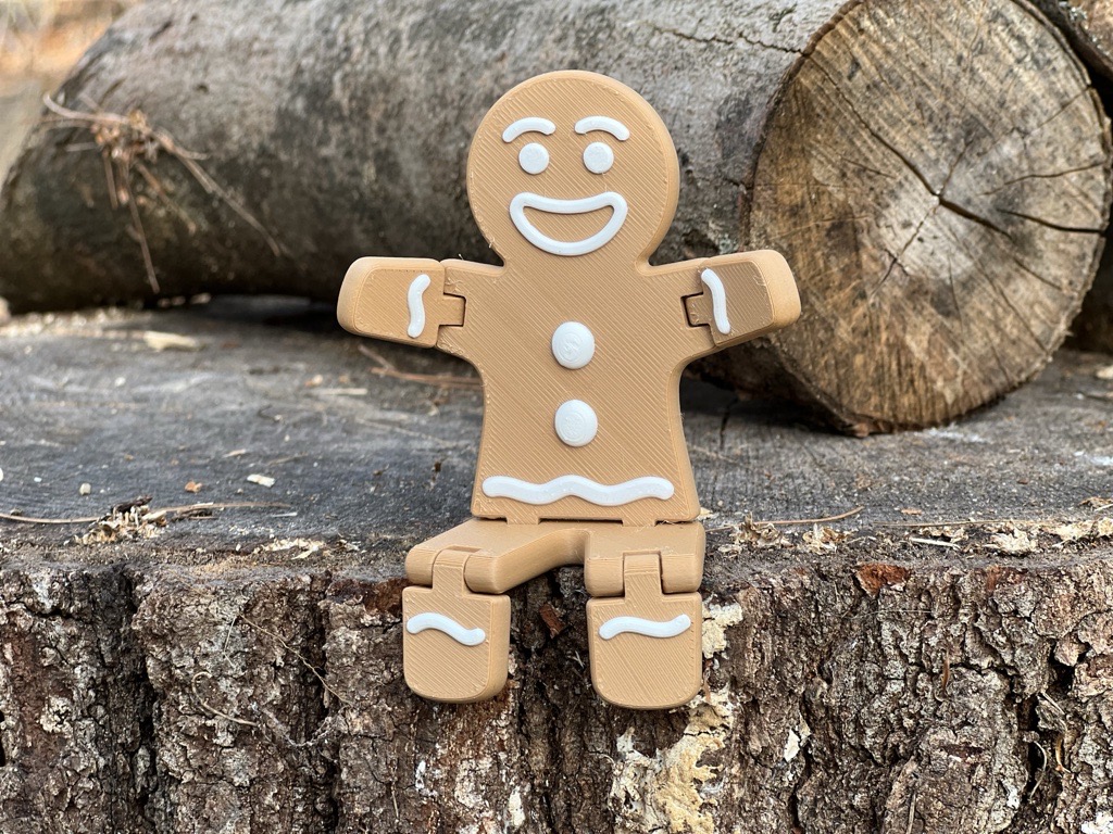 Easy Filament Swap Gingerbread Cookie preview