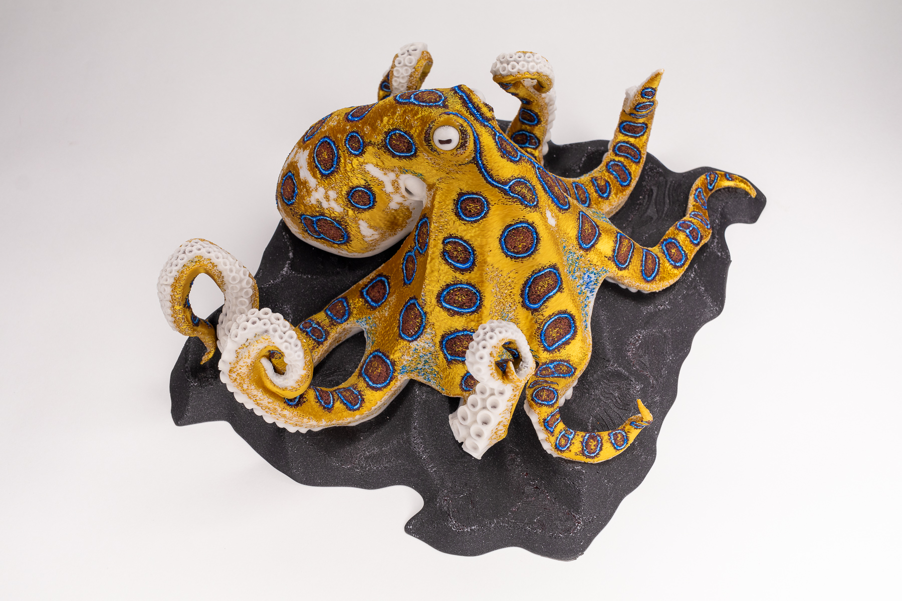 Blue-ringed Octopus tool holder preview 5